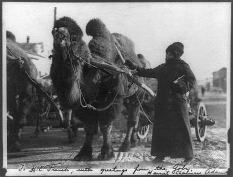 Who Was The First Female Photographer Learn About Her And 4 Other Women Who Made Artistic History