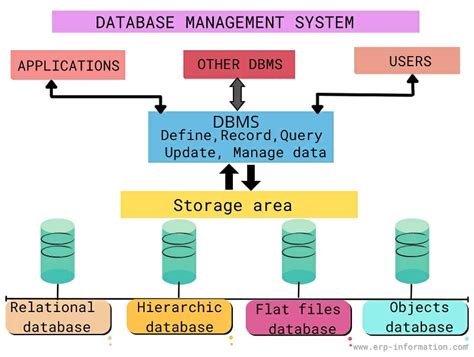 The Basic Elements Of A Database And Dbms Founderjar