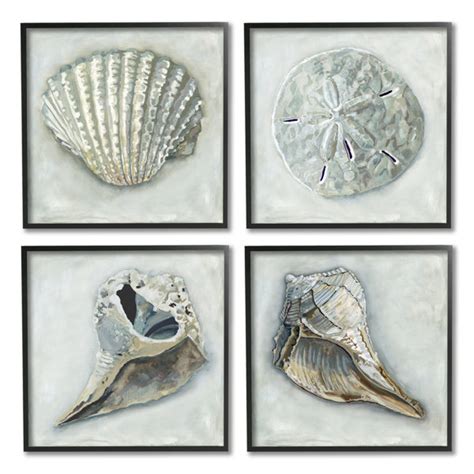 Rosecliff Heights Detailed Seashells Ocean Life Framed On Wood 4 Pieces