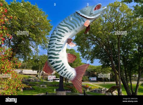 At Feet Tall Huskie The Muskie Is An Outdoor Sculpture Of A