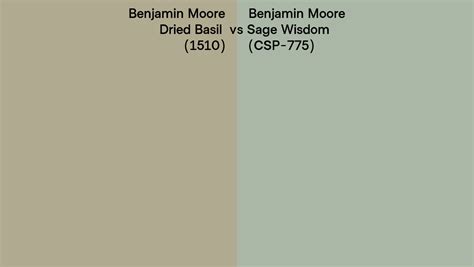 Benjamin Moore Dried Basil Vs Sage Wisdom Side By Side Comparison