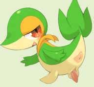 Post 5484955 Exige Porkyman Snivy