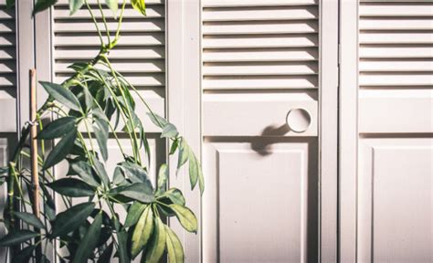 The Incredible Vented Door For Furnace Room