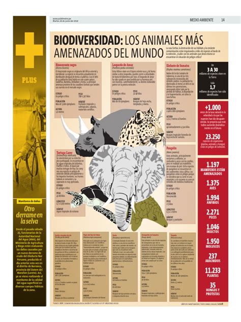 PDF Biodiversidad Los Animales Más Amenazados Del Mundo DOKUMEN TIPS