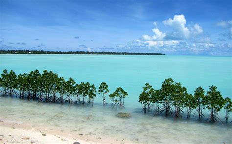 Kiribati Wallpapers Top Free Kiribati Backgrounds Wallpaperaccess