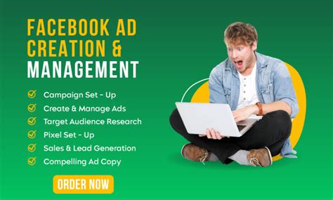 Setup Profitable Facebook Paid Ads Campaign By Echoglitch11 Fiverr