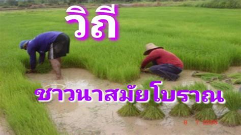 วิถี ชาวนา สมัยโบราณ