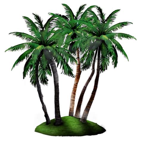 Download Coconut Palm Trees Png 05042024