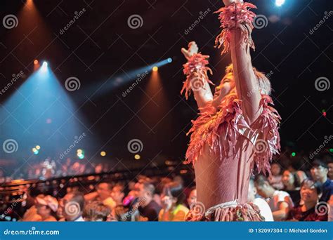 Tarzan: Call of the Jungle Show at Shanghai Disneyland Editorial Stock Image - Image of ...