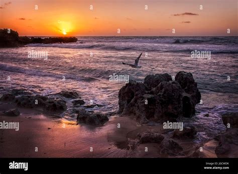 Australia Beach Sunset Rock Hi Res Stock Photography And Images Alamy