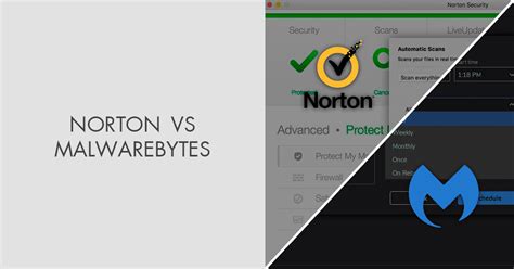 Norton Vs Malwarebytes Which Software Is Better