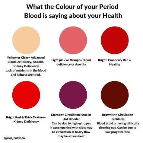 period blood colors  textures     artofit