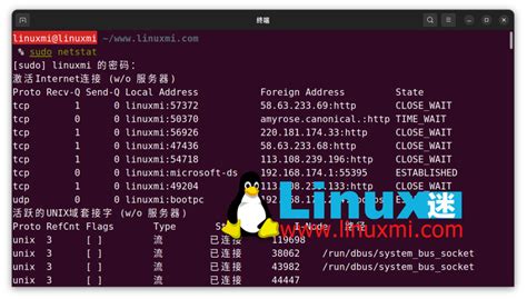 How To Monitor Network Usage Of Processes On Linux Linux Php Cn