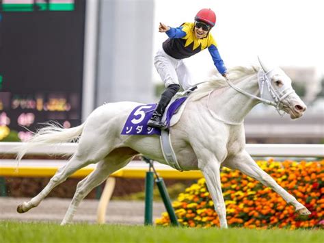 【マイルcs 調教後馬体重】ソダシは482kg、サリオスは544kg 競馬ニュース Netkeiba