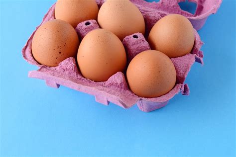 Best High Protein Foods That Can Help Gay Men Build Muscle So Gay