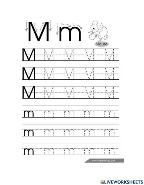 M Letter Interactive Notebooks Note Cards Activities