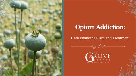 Opium Addiction: Understanding Risks and Treatment