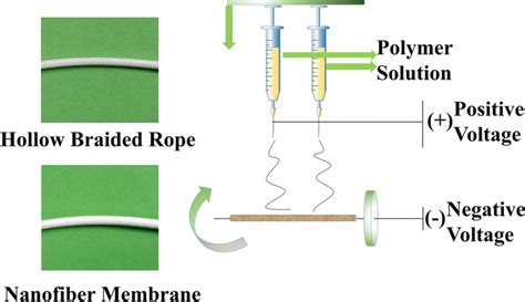 Schematic Illustration Of Pvdf Hfpge Tnms Preparation Process Download Scientific Diagram