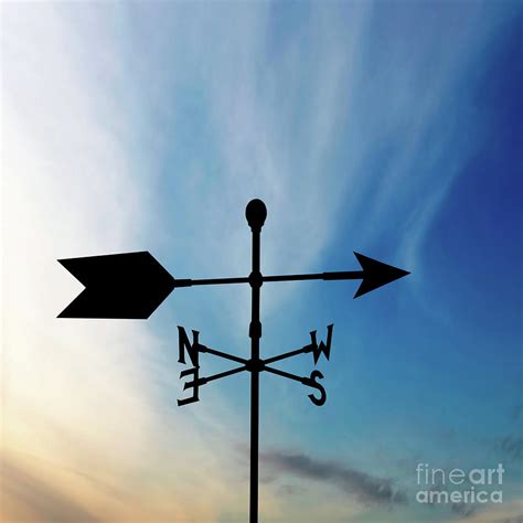 Xl Wind Vane Silhouette By Sharply Done