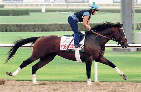 【ドバイ国際競走 ラエリー・モット氏インタビュー】芝＆ダートでg1勝ちの日本産ヨシダ「このレースには自信があります」 スポーツ報知