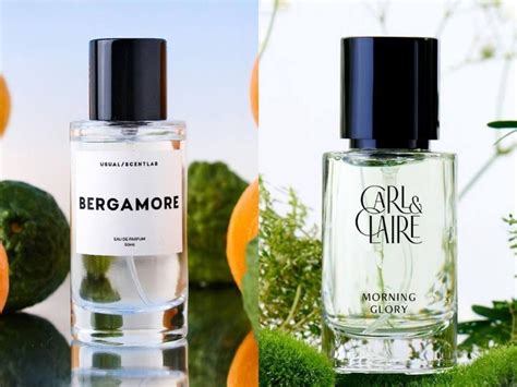 Rekomendasi Parfum Dengan Aroma Citrus Cocok Dipakai Di Daerah