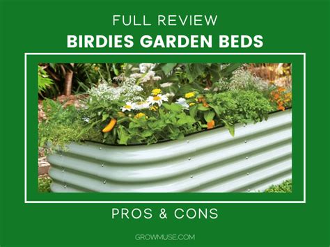 Stop Wasting Time: Birdies Garden Beds Are The Best - Growmuse ...