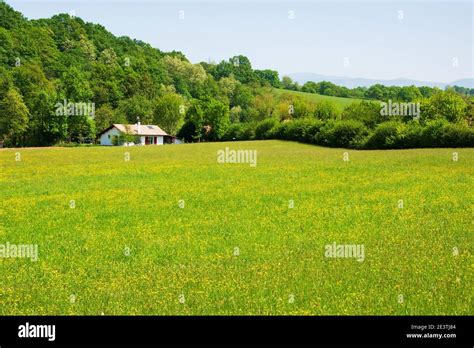 french basque country landscape  typical farmhouse  forested