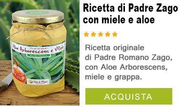 Come Preparare Correttamente La Ricetta Di Padre Romano Zago Con Aloe E