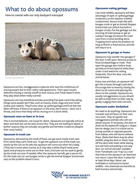 Wildlife Fact Sheets Humanepro By The Humane Society Of The United States