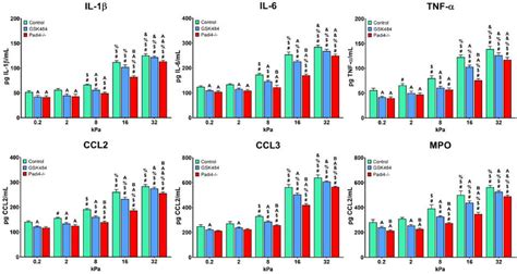 Figure From Substrate Stiffness Induces Neutrophil Extracellular Trap