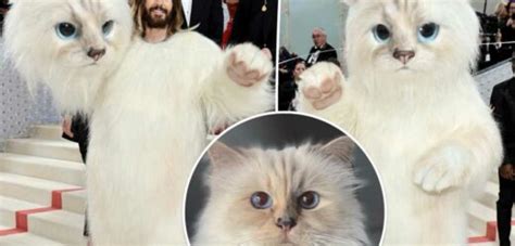 Jared Leto Dresses As Karl Lagerfelds Cat Choupette On Met Gala Red