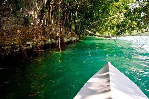 Kayaking the Río Dulce Out to Sea - Expert Vagabond