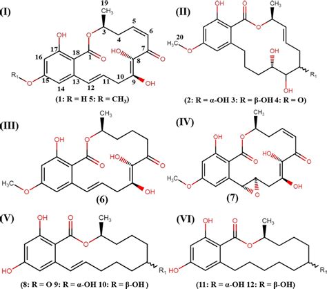 IVI Resorcylic Acid Lactones RALs And Derivatives From Phoma Related