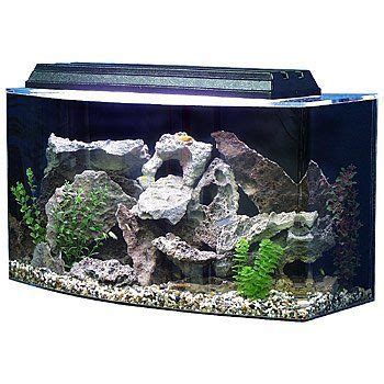 SeaClear 46 gal Bowfront Acrylic Aquarium Combo Set, 36 by 16.5 by 20 ...