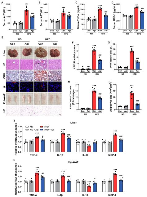 Frontiers Apigenin Alleviates Obesity Associated Metabolic Syndrome