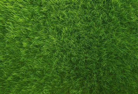 Premium Ai Image Lush Green Grass Texture Background