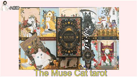 The Muse Cat Tarot 開箱 YouTube