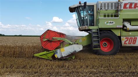 Búza Aratás 2023 CLAAS MEGA 208 CLAAS C600 vágóasztal YouTube