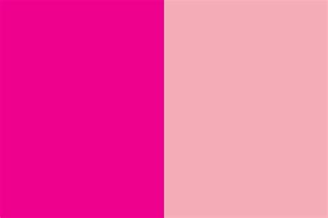 10 Excellent Colors That Go With Magenta With Pictures Homenish