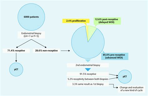 Endometrial Dating Criteria Telegraph