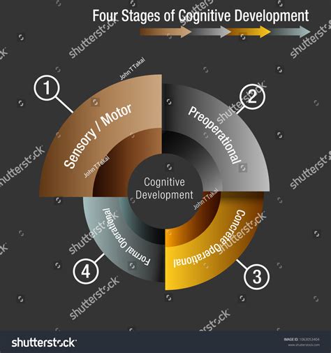 Image Four Stages Cognitive Development Chart Stock Vector Royalty