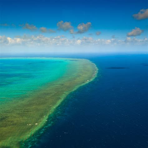 Great Barrier Reef Wallpaper - WallpaperSafari