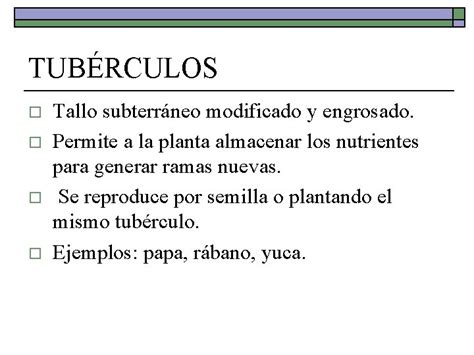 Multiplicacin Vegetativa O Asexual De Plantas Profesora Macarena