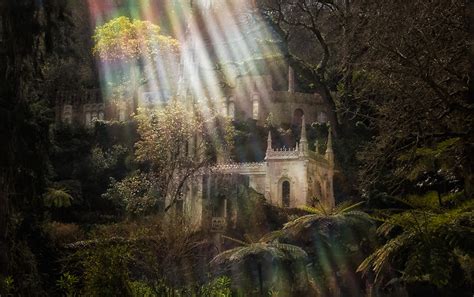 Portugal S Palace Of Mystery Eerie Photos Of Quinta Da Regaleira