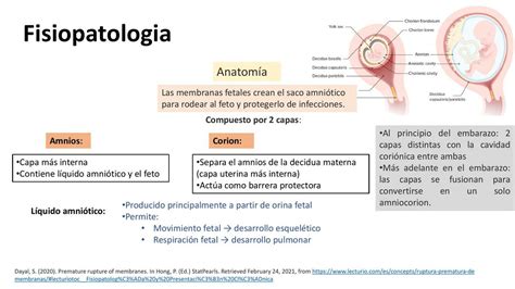 Membranas Fetales Rodriguez Rios Ruddy Udocz