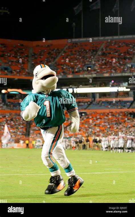 Miami dolphins mascot hi-res stock photography and images - Alamy