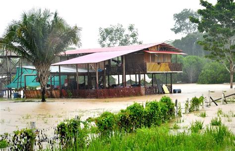 Madre De Dios Intensas Lluvias Provocan Desborde De R Os En Puerto