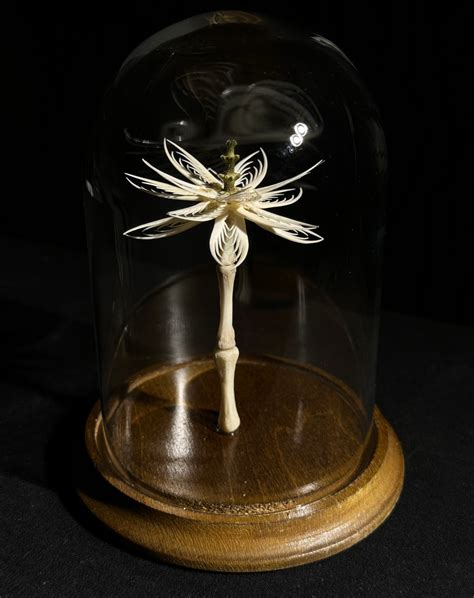 Bone Flower With Glass Dome Forgotten Boneyard