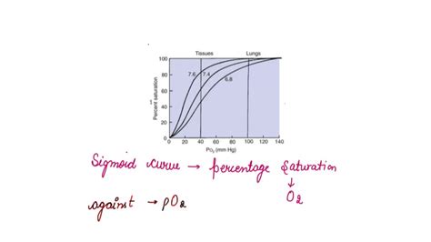 Solved Diagram The Relationship Between Poz And The Saturation Of