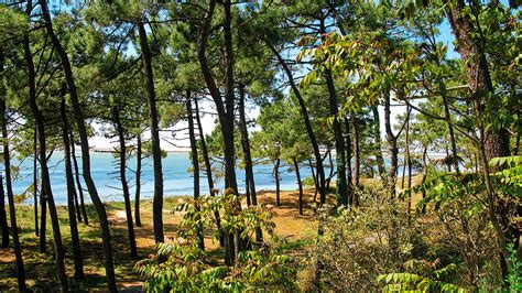 Bureau D Accueil Des Tournages Charente Maritime Film France Cnc